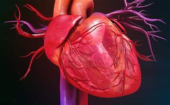 طبيب يوضح خطورة الأرق والتوتر على عضلة القلب