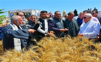 عادل الغضبان يشهد حصاد محصول القمح بشرق بورسعيد