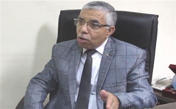 محمد الغباشي: مصر عادت لموقعها الريادي إقليميًا ودوليًا
