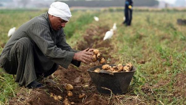 «الزراعة» تستعرض أنشطة الوزارة في أسبوع