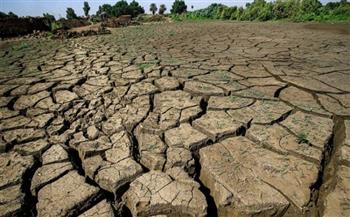 الأمم المتحدة تحذر من كارثة إنسانية في نيجيريا مع اقتراب موسم الجفاف