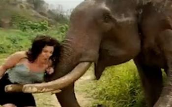 فيل يهاجم سيدة بسبب موزة «فيديو»
