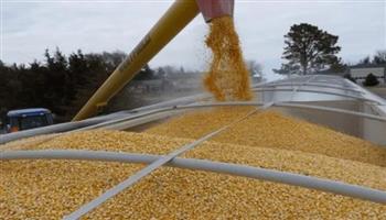 أوكرانيا تعلن تصدير أكثر من 42.4 مليون طن من الحبوب والبقوليات‎‎