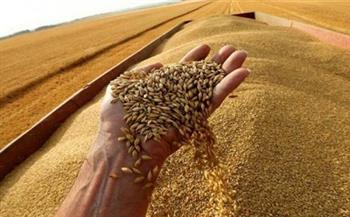 «التموين»: زيادة سعر أردب القمح إلى 1500جنيه السبب وراء كميات التوريد الضخمة 
