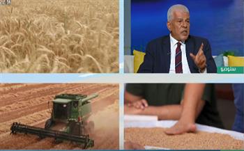 نقيب الزراعيين : نتوقع إنتاج 9 ملايين طن قمح هذا العام
