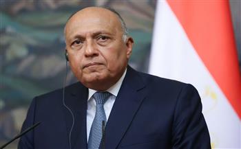 وزير الخارجية يسلم رسالة الرئيس السيسي لنظيره التشادي محمد إدريس ديبي