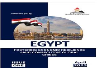 إصدار جديد لـ«معلومات الوزراء» يكشف جهود مصر في التعامل مع القضايا الدولية