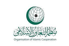 «منظمة التعاون الإسلامي» تدين استمرار العدوان الإسرائيلي على غزة