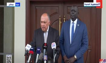 شكري: لابد من وقف إطلاق النار في السودان ورعاية مصالح الشعب السوداني