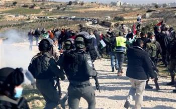 «مقاومة الجدار»: الاحتلال الاسرائيلي والمستوطنون نفذوا 492 اعتداء خلال مايو الماضي