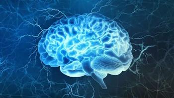 علماء روس يكتشفون طريقة لتحديد أمراض الدماغ دون التصوير بالرنين المغناطيسي