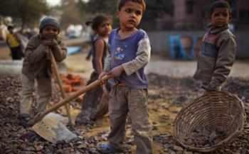 في يومها العالمي.. تعرفي على جهود الدولة لمكافحة عمالة الأطفال 