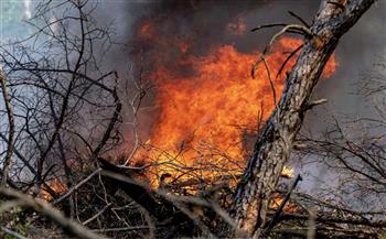 انفجارات في ساحات تدريب سابقة للجيش الألماني بسبب حرائق الغابات