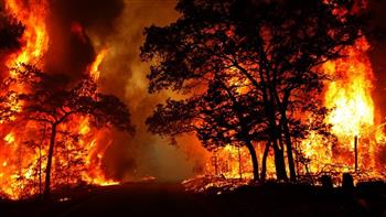 مجلس حكماء المسلمين يتضامن مع كازاخستان في ضحايا حريق غابات آباي