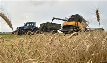 أوكرانيا: تعافي القطاع الزراعي يمكن أن يستغرق 20 عامًا