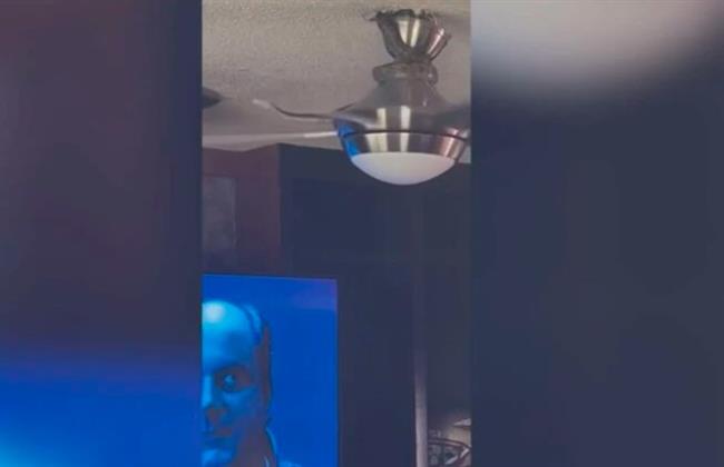 فيديو يقلب مواقع التواصل.. فتاة ترصد ثعبانًا طائرًا في منزل أسرتها