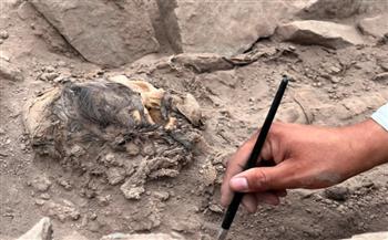 محتفظة بشعرها.. اكتشاف مومياء عمرها 3000 عام في بيرو