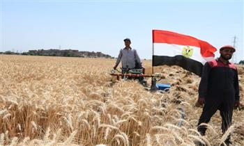 محافظ المنيا: توريد 454 ألف طن من القمح وتجاوز المستهدف
