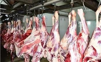 تضامن المنيا:توفير اللحوم وذبح 50 عجلًا وتوزيعها بالقرى الأكثر احتياجًا