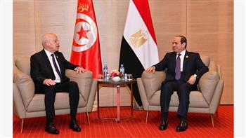الرئيس السيسي ونظيره التونسي يتبادلان الرؤى حول الملفات الإقليمية والدولية