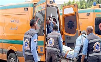 مصرع وإصابة 10 أشخاص في حادث انقلاب سيارة بطريق الفيوم الصحراوي