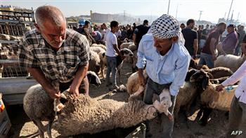 صحيفة "عمان": عيد الأضحى فرصة لتصدير رسالة الإسلام الحقيقية إلى الجميع