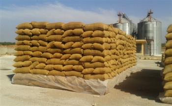 محافظ الغربية : توريد 98.04% من المستهدف من القمح