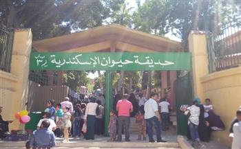 مدير حديقة الحيوان بالإسكندرية: استقبلنا أكثر من 16 ألف زائر خلال أول يومين بالعيد