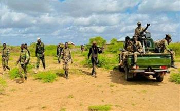 الجيش الصومالي يقضي على العشرات من العناصر الإرهابية