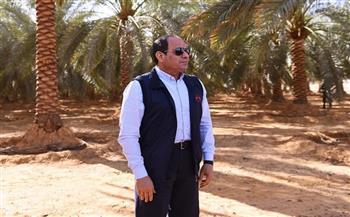٣٠ يونيو وضعت الزراعة على أولوية الدولة.. مشروعات عملاقة لتحقيق الأمن الغذائي للمواطنين