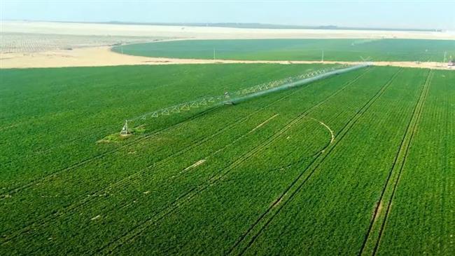320 مشروعا.. نهضة غير مسبوقة في قطاع الزراعة خلال الـ9 سنوات الماضية 