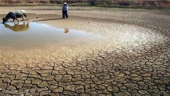 ماذا فعل المغرب لمواجهة أزمة الجفاف؟.. خبير يوضح