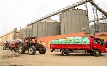 «تموين الدقهلية»: توريد أكثر من 326 ألفا و89 طنا من محصول القمح إلى صوامع وشون المحافظة