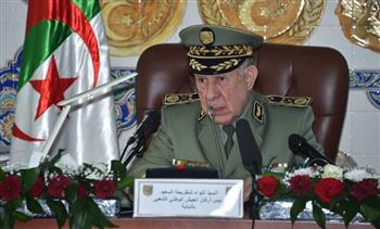 رئيس أركان الجيش الجزائري يبحث مع روسيا التعاون العسكري والتقني بين البلدين 