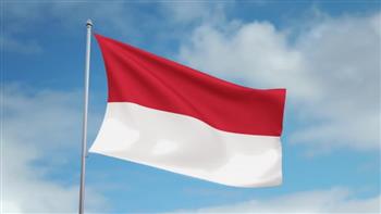 إندونيسيا تعلق على رفض كييف مبادرتها لإحلال السلام