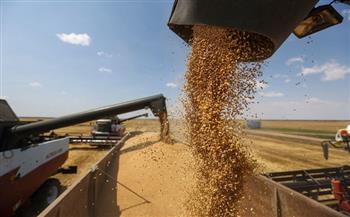 الحكومة تكشف حقيقة تعثر مصر في سداد مدفوعات وارداتها من القمح المستورد
