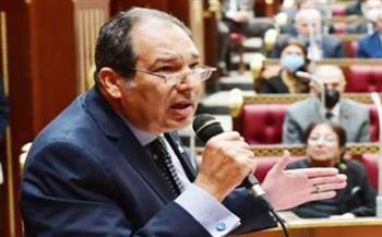 برلماني: الأمان في مصر لا يقدر بثمن.. والإرهاب يقضي على الجميع