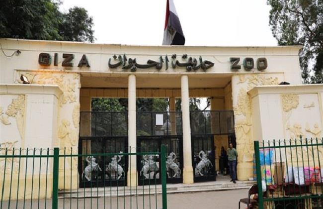 لتصبح أكبر منطقة جذبًا للسياحة.. تفاصيل تطوير حديقة الحيوان 