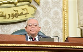 «النواب» يوافق على انضمام مصر للمجلس الدولي لـ«التمور» 