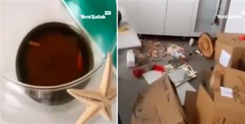 معجزة.. العثور على سمكتين على قيد الحياة بعد 98 يومًا من زلزال تركيا (فيديو)