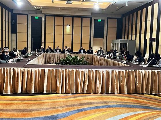 قمة دول الجوار.. خبير سياسي: الوساطة المصرية والإقليمية تسعى للتسوية ومنع تقسيم السودان