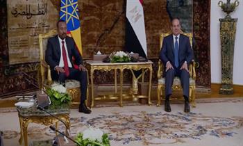 الرئيس السيسي يبحث مع رئيس وزراء إثيوبيا قضية سد النهضة (فيديو)