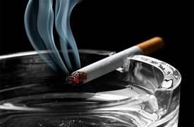  رئيس شعبة الدخان: مصر تعد سوقًا واعد لاستثمار صناعة ومبيعات التبغ حول العالم