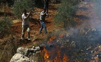 مستوطنون يشعلون النيران في أراضي بورين جنوب نابلس