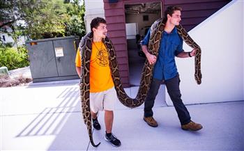 اليوم العالمي للثعابين.. أمريكيان يصطادان أطول ثعبان بورمي في تاريخ فلوريدا 