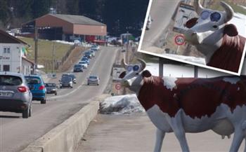 لضبط سرعة سيارات سويسرا.. «البقرة الرادار» تشعل مواقع التواصل