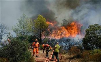 فرنسا ترسل فريقا لدعم اليونان في مواجهة حرائق الغابات