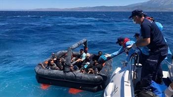 السلطات التركية توقف 84 مهاجرا غير شرعي جنوبي البلاد