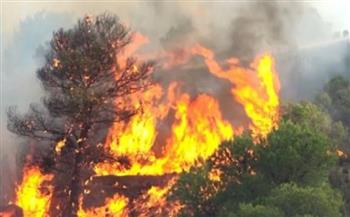 اليونان: حرائق الغابات تهدد السكان وسط ارتفاع قياسي لدرجات الحرارة
