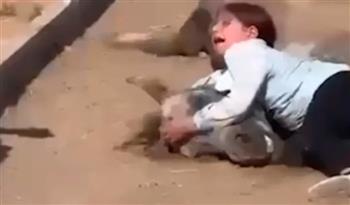 فيديو .. أصغر فارسة بكردستان تٌبكي الجميع بلحظات مؤثرة  
